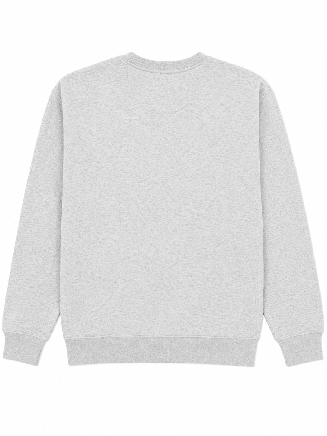 Light gray cotton blend sweater back view, Scenic Route Graphic Crewneck by Win.E, casual outerwear sweater design.