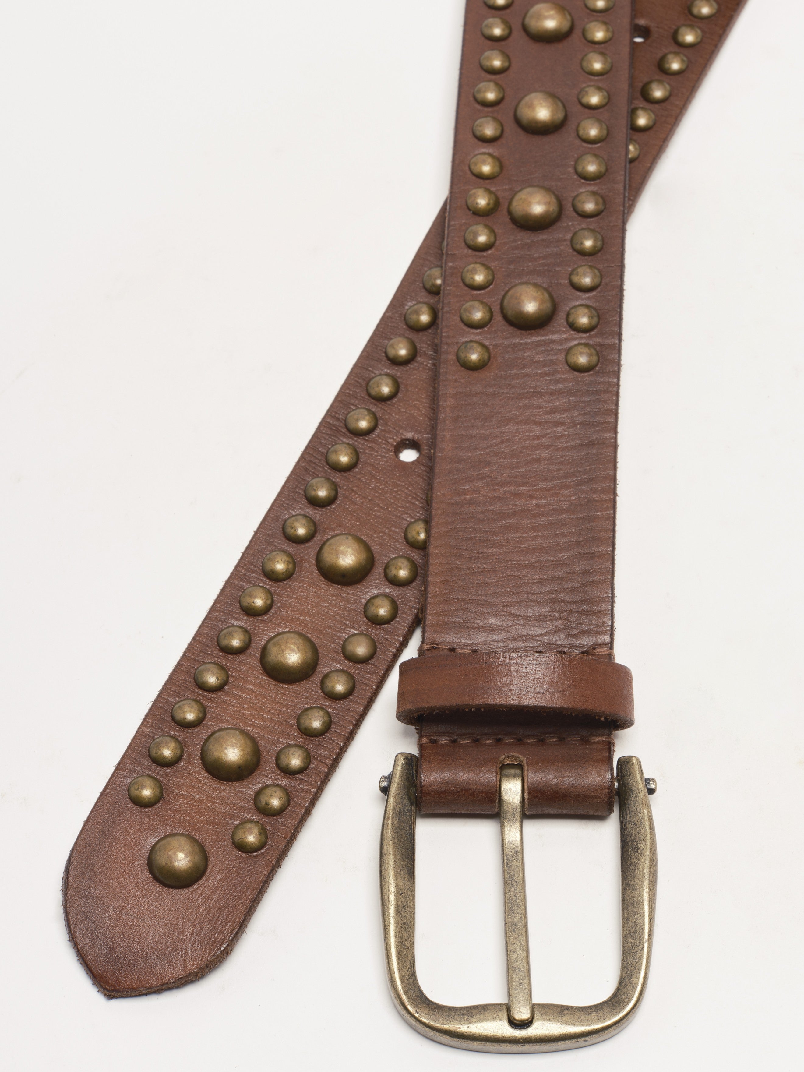 Brown leather belt with brass round studs and a brass buckle on a white background