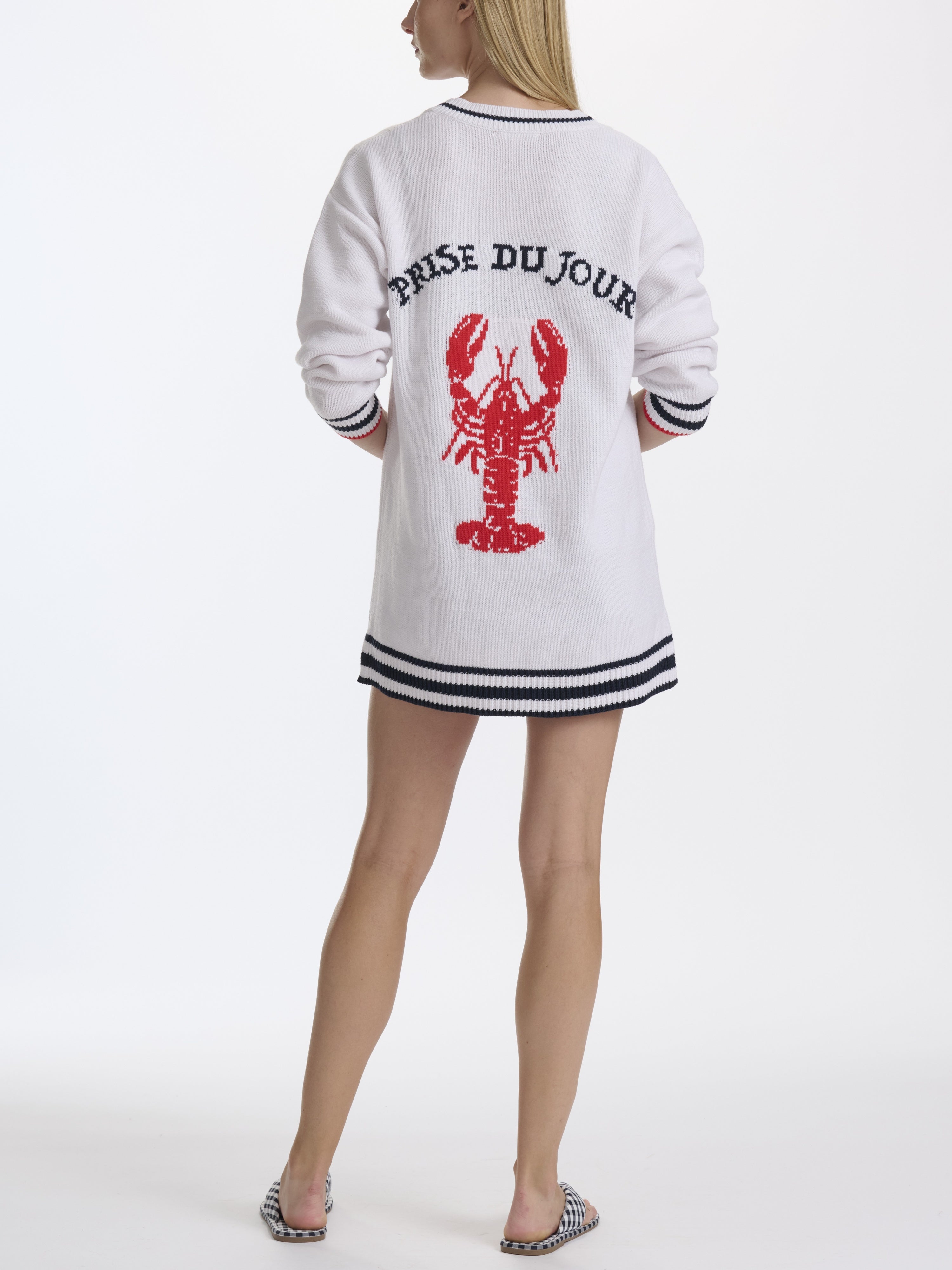 Back view of Splendid Catch of the Day Nautical Lobster Cardigan sweater with lobster graphic and nautical stripes.